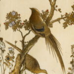antique cup bird on branch