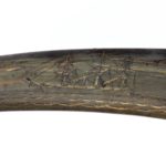 A rare scrimshaw decorated horn