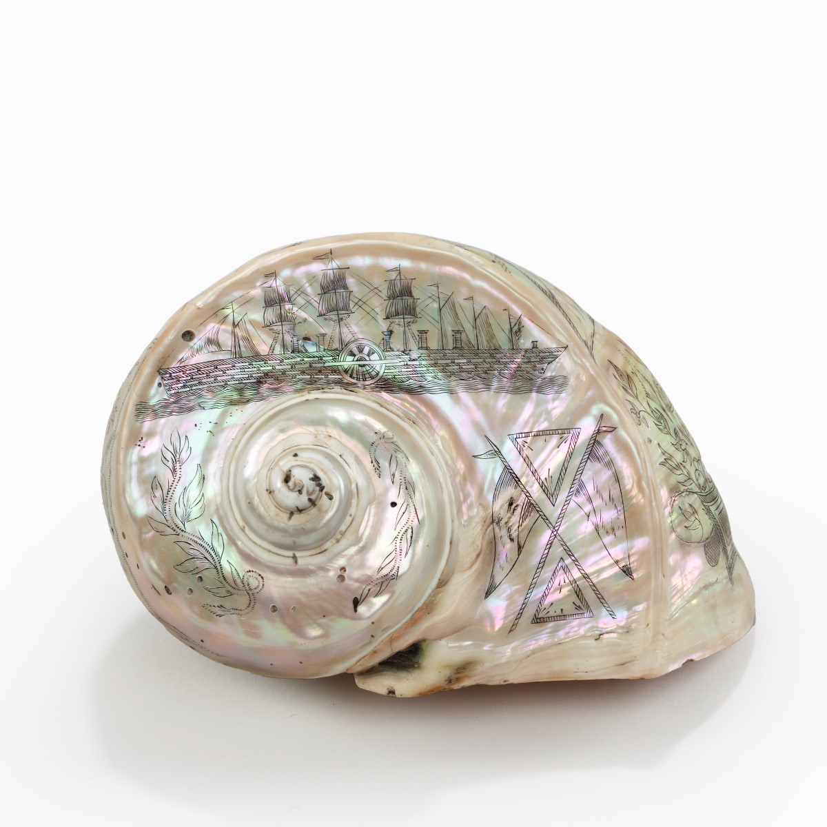A scrimshaw turban shell carved with the Leviathan