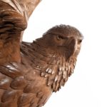 Fine ‘Black Forest’ Walnut Eagle - Face