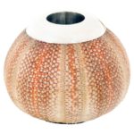 A sea urchin match striker by Asprey, 1960, the pinkish shell with the spines polished away, applied silver collar round the neck, fully stamped for Asprey & Co