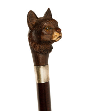 A novelty snakewood cane with a cat’s head, dated 1903
