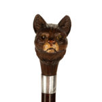 A novelty snakewood cane with a cat’s head close up