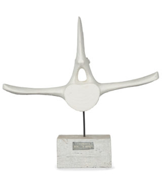 A white painted driftwood whale vertebra by Martin Scorey